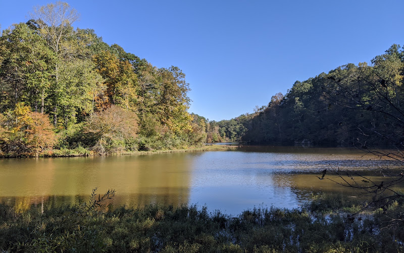 Ivy Creek Foundation