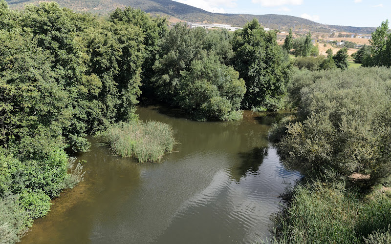 ヌエバ デ プラセンシア大聖堂