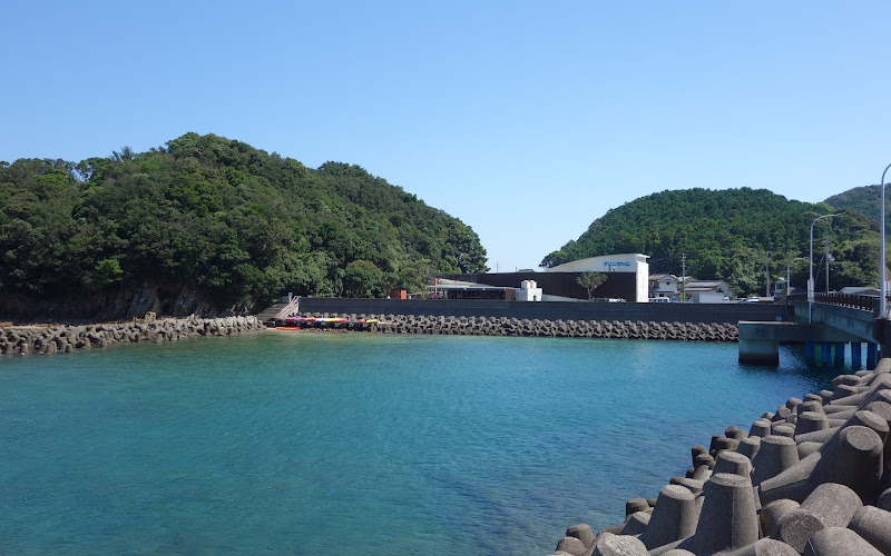 Sea Nature Museum Marine Jam
