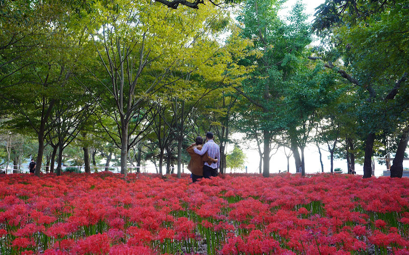 앵강만해삼영어조합법인