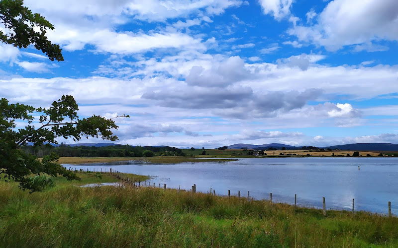 RSPB ユーデール・ベイ