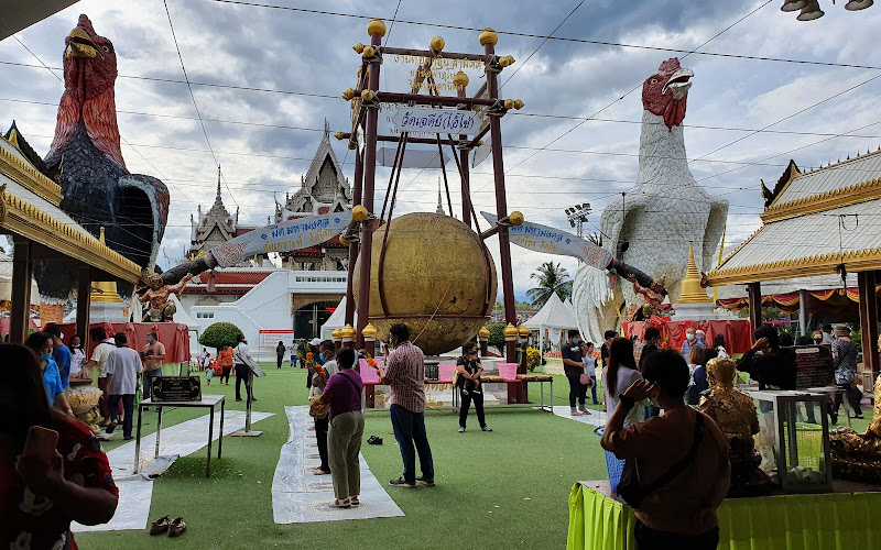 ไก่ชนไอ้ไข่