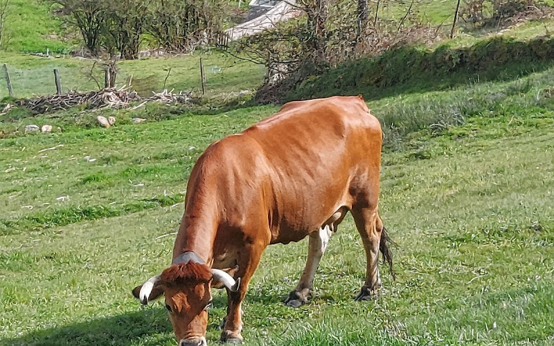 Café e Mercearia "O Cantinho"