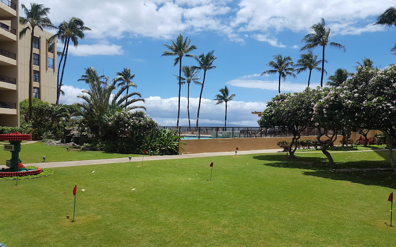 Maui Sights and Treasures