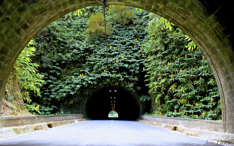 Cascata da Ribeira Quente