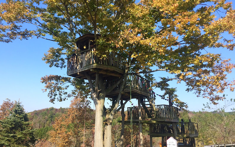 To Ark Kankokyokainigo Tsurihausu