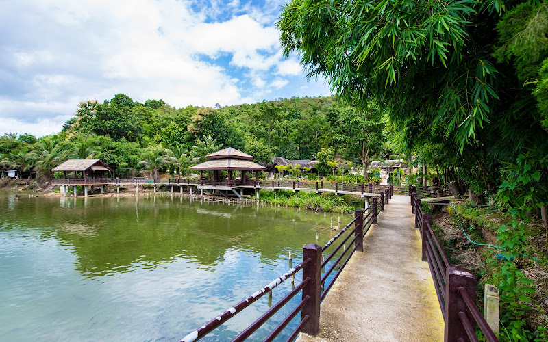 ワンマッチャー