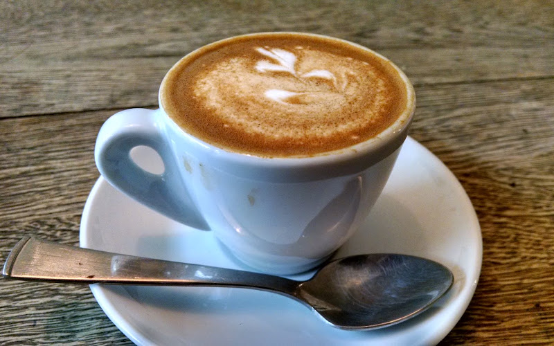 Catalpa Coffee