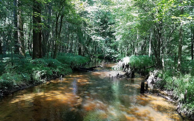 윌리엄슨 공원
