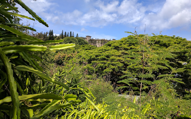 Mahana Ridge Trail