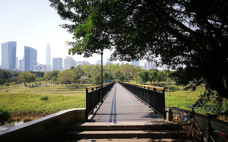 Shenzhen Central Park