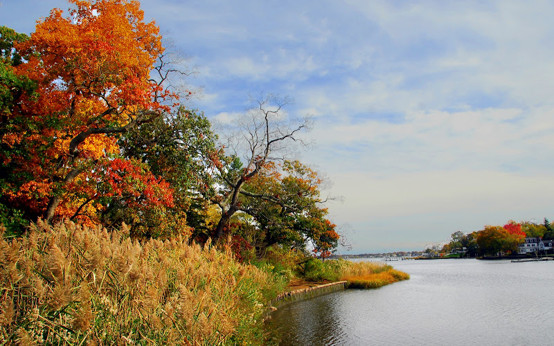 ハーツホーン・ウッズ・パーク