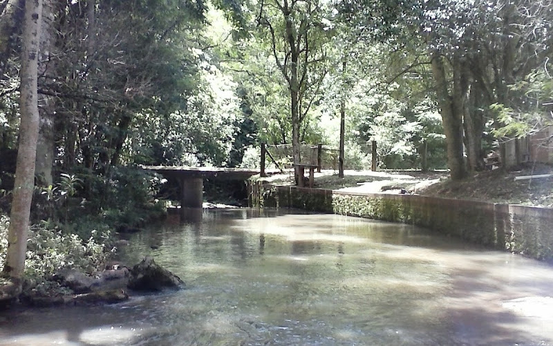 Piquete Carlinhos Kriger