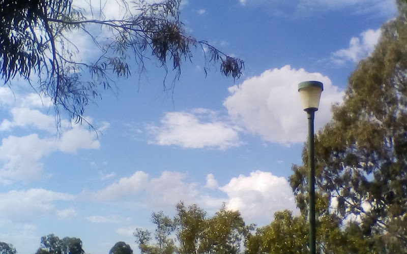 Nadine Street Park