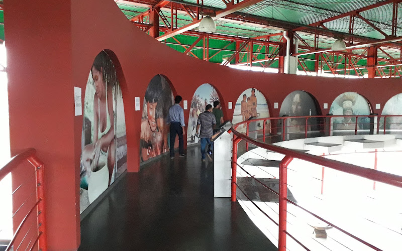 Museu Do Homem Do Norte