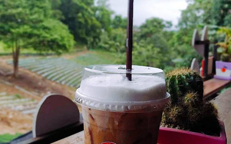 ร้านกาแฟเหมียว@เขาค้อ