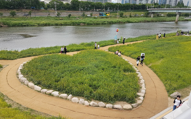 中浪川
