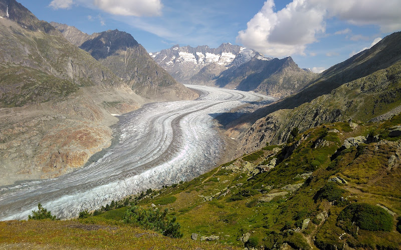 Viewpoint Aletsch 1