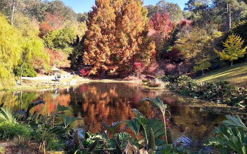 樂富泰山植物園