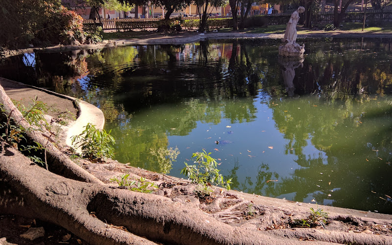 エストレーラ庭園