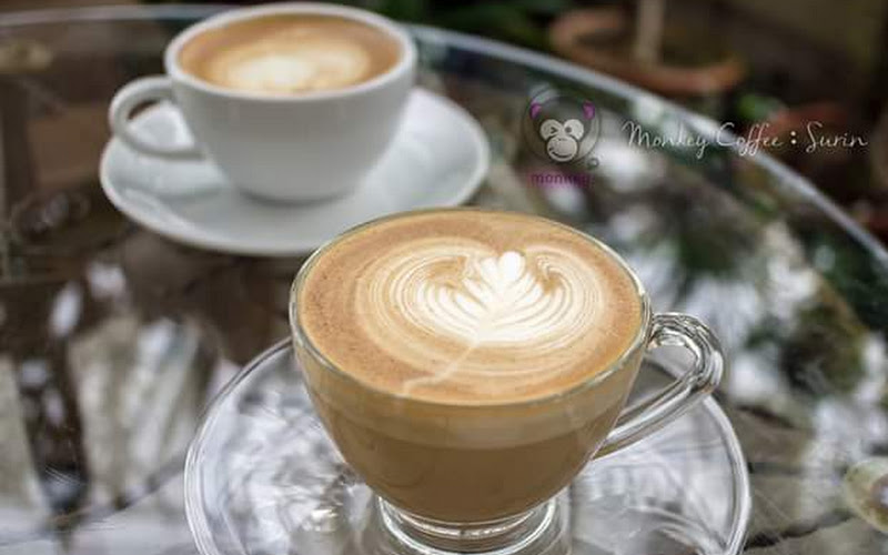 Monkey Coffee : Surin