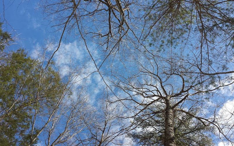Heins Farm Trail