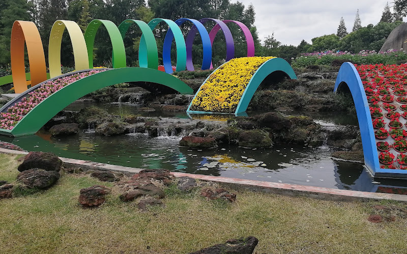 上海植物園松柏園