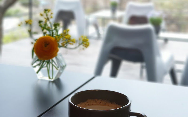 누보갤러리카페