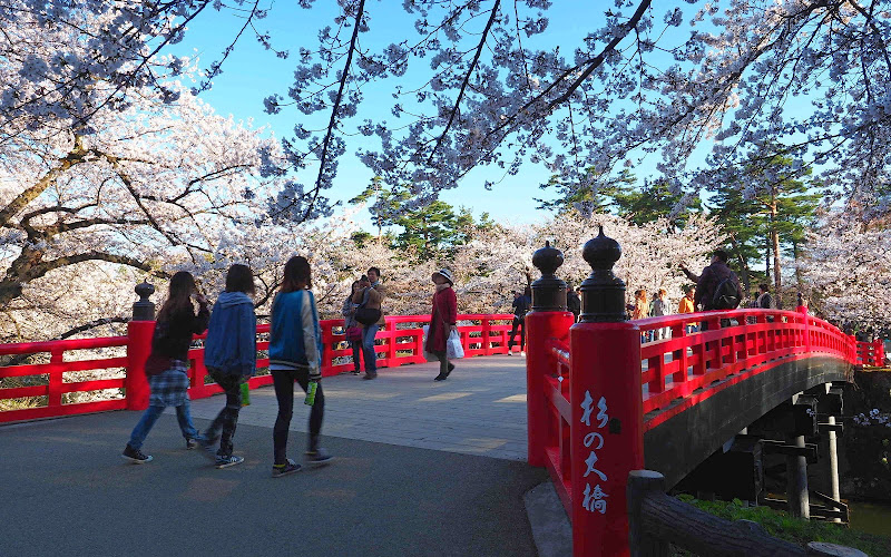 히로사키 성 삼나무의 대교