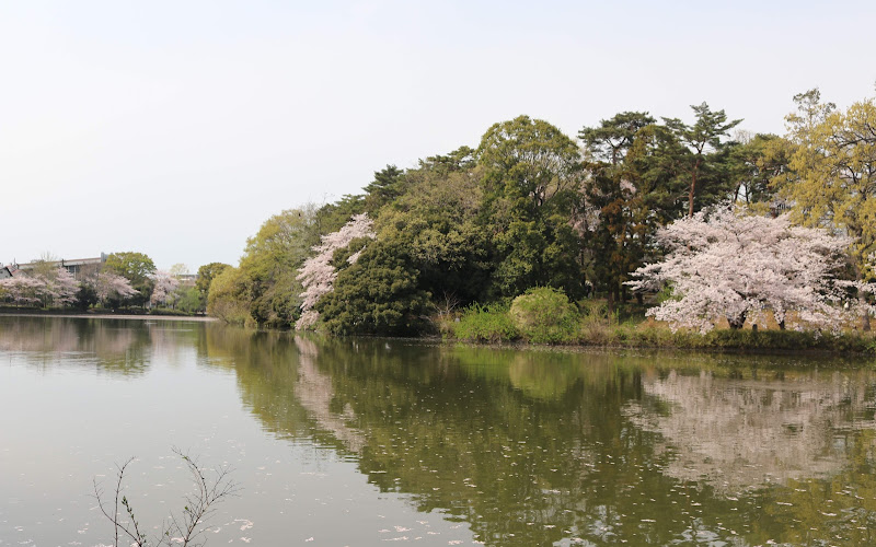 大宮公園小動物園