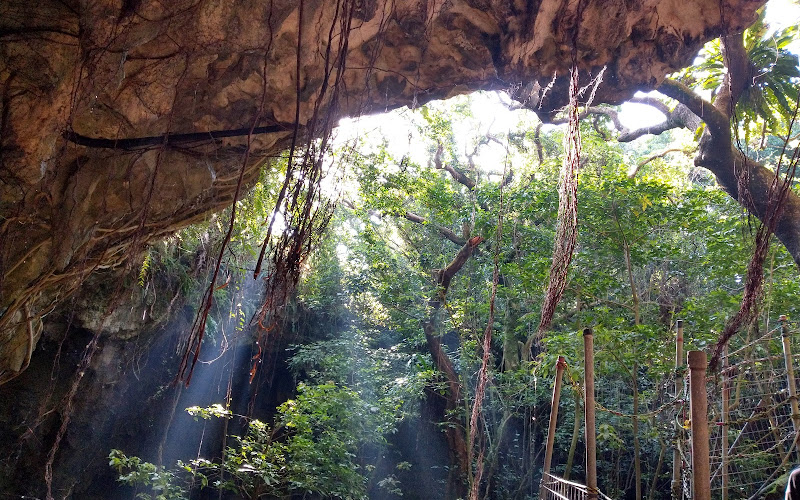 Todoroki Cavern