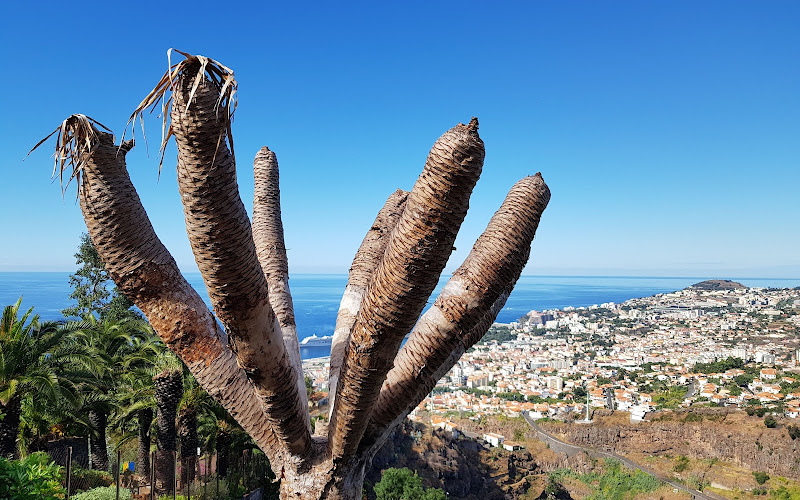 Madeira Botanical Garden