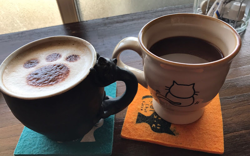 猫も遊べる喫茶店 毛玉