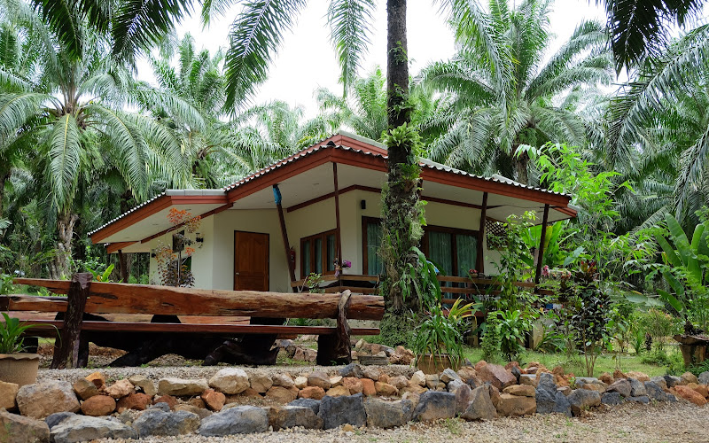 ต้นปาล์ม ฟาร์มสเตย์ Tonpalm Farmstay 800-1,800THB