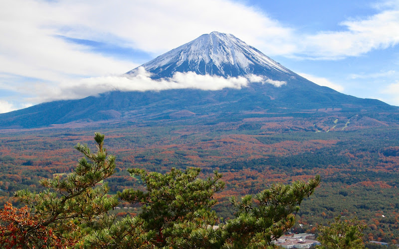 코요다이 전망대