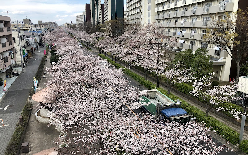 葛西用水親水水路