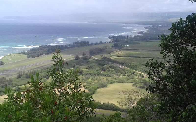 Kealia Trail Picnic Area