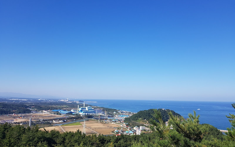 임해자연휴양림