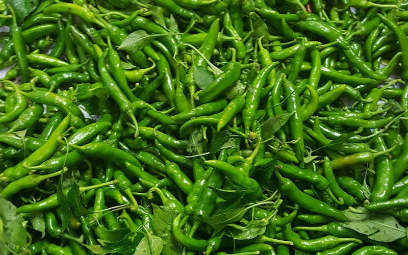 페리카나 반달마을점