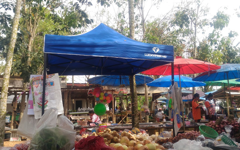 ตลาดนัดทุ่งเลียบ