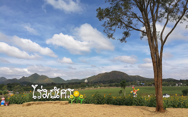 ライマニーソン