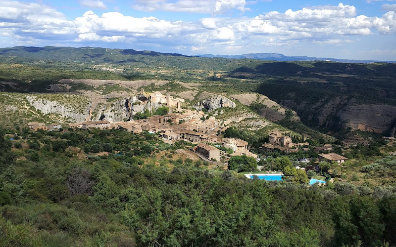 Observatorio de aves