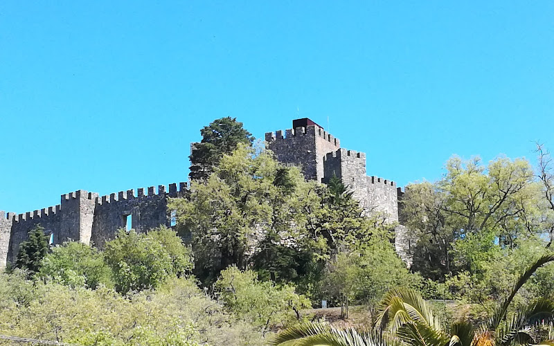 Castle of Pombal