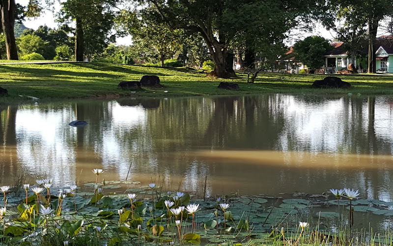 タマン・レックレジー