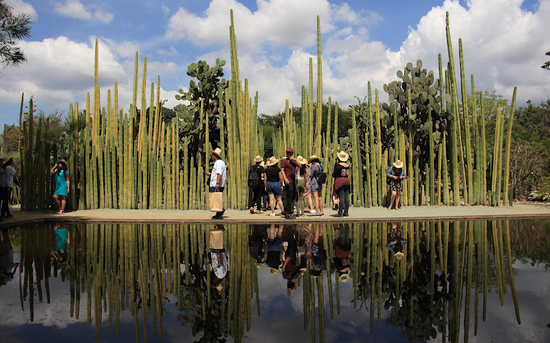 Jardín Etnobotánico de Oaxaca