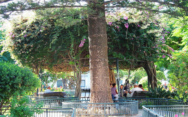 プーブリコ・デ・セジンブラ庭園