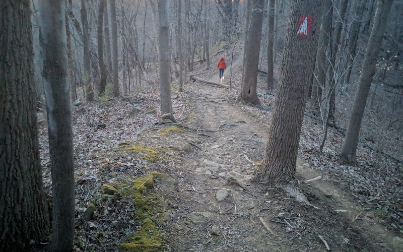 Dale & Jackie Riddle State Nature Preserve