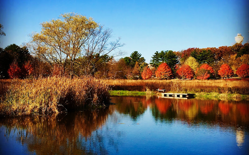 에드나 테일러 보전공원