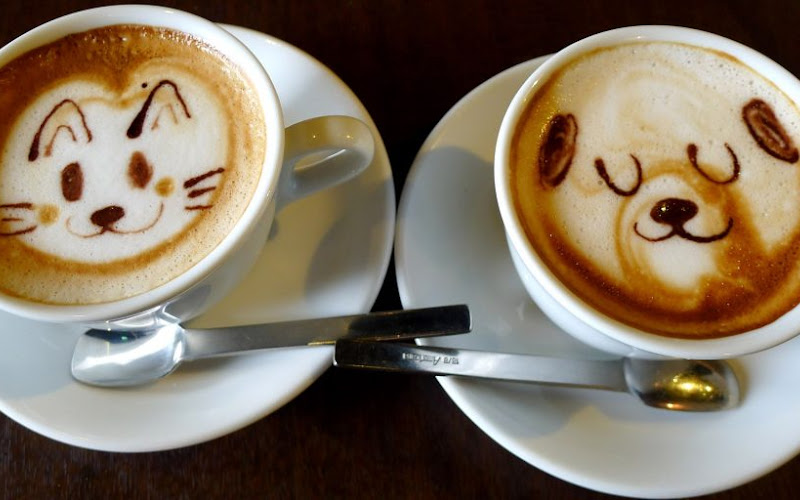 Caffetteria Vannucchi