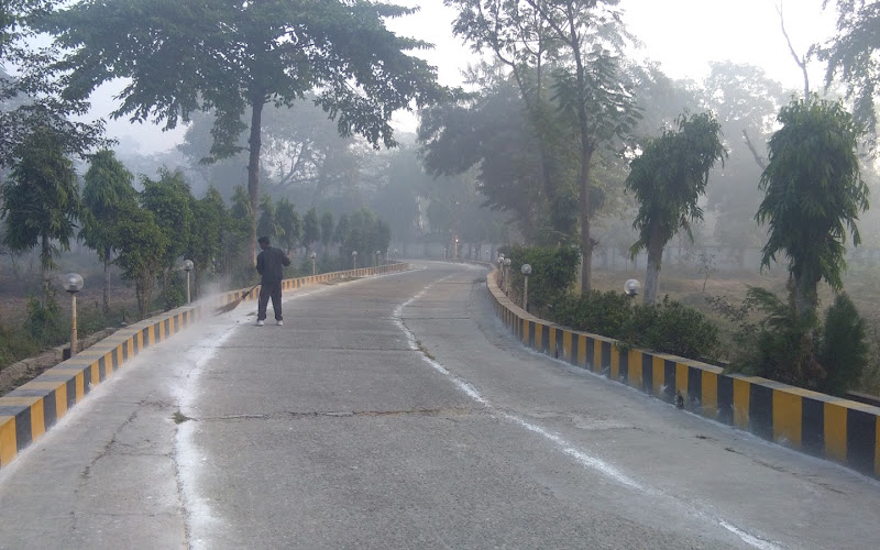 フォレスト・デパートメント,